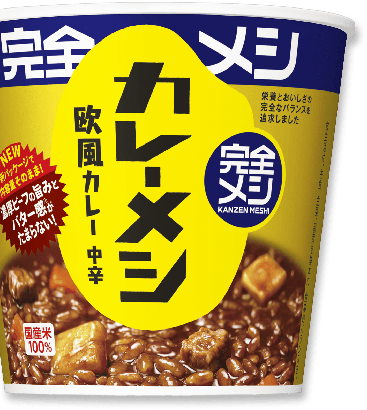 完全メシカレーメシ欧風カレー