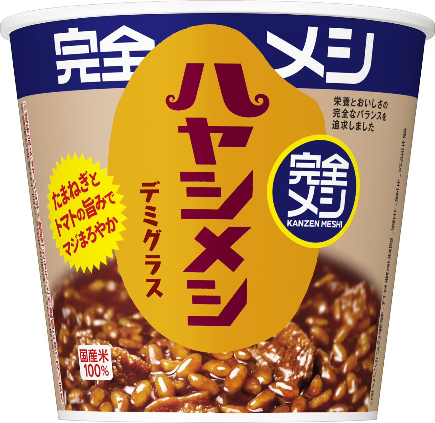 日清 カレーメシ ハヤシメシ 48個セット 日清 カレーメシ ハヤシメシ 48個セット 【公式通販】